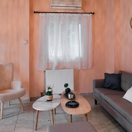 Cozy House In Pelion Apartment Káto Lekhónia Екстериор снимка