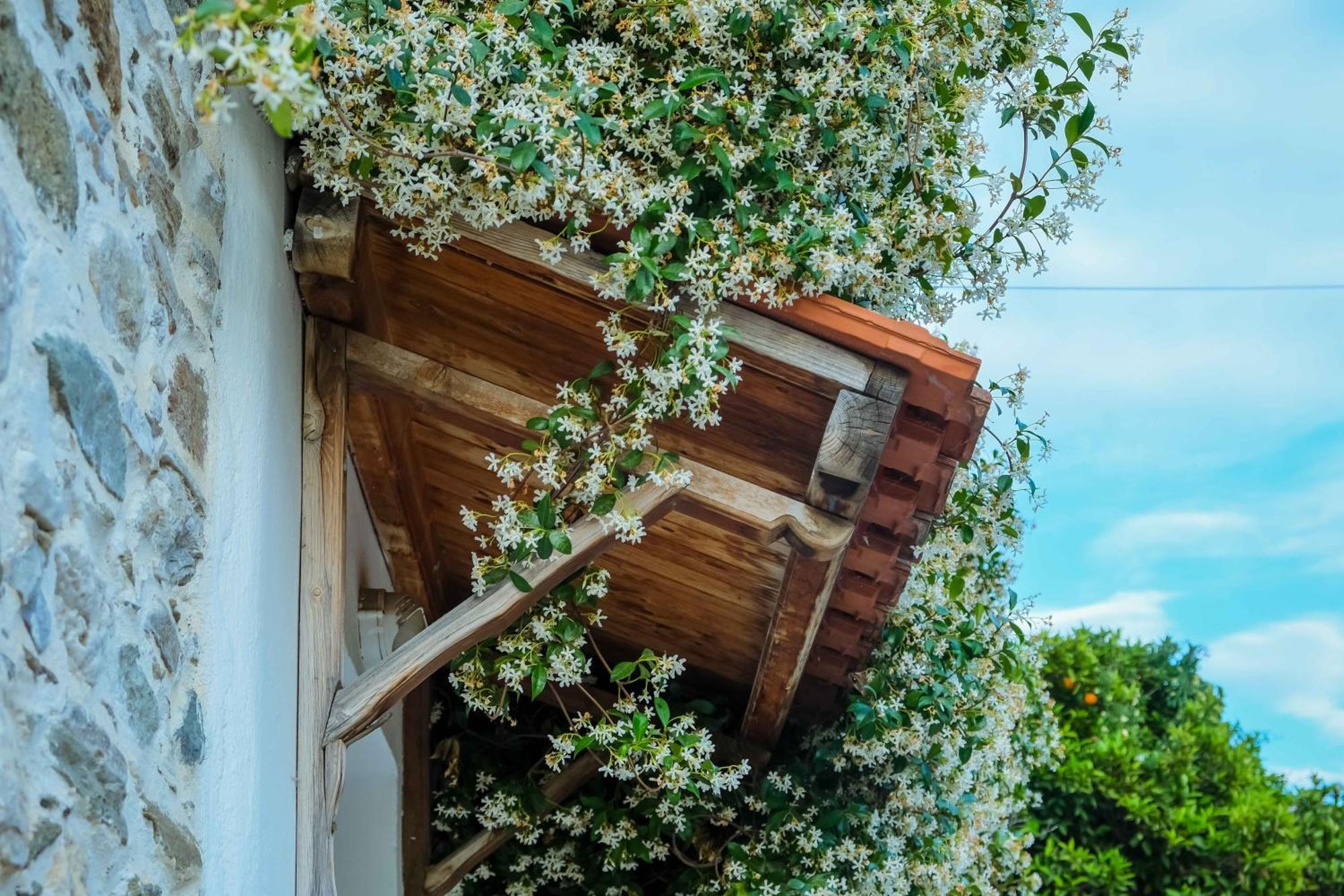 Cozy House In Pelion Apartment Káto Lekhónia Екстериор снимка